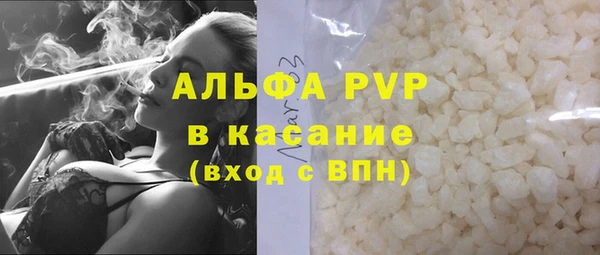 PSILOCYBIN Горно-Алтайск