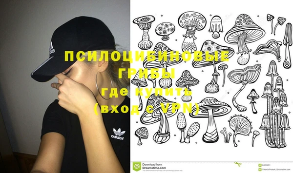 PSILOCYBIN Горно-Алтайск